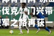 开云体育官网-冰岛-斯洛伐克：门兴带伤登场冠军之路再获一城