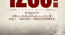 开云体育官网-沈阳队奋勇争先，实现横扫夺冠
