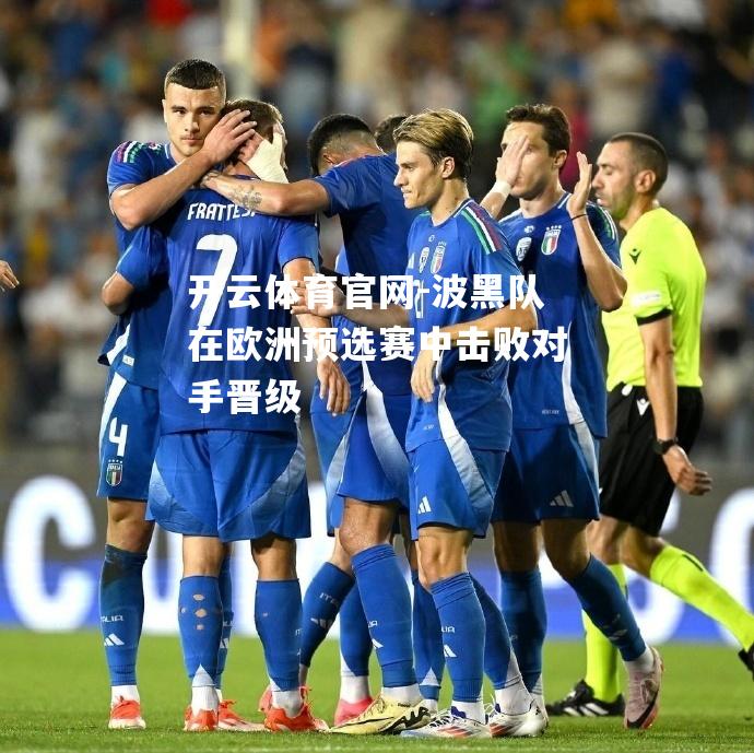 波黑队在欧洲预选赛中击败对手晋级