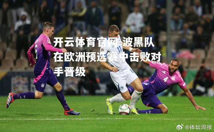 波黑队在欧洲预选赛中击败对手晋级